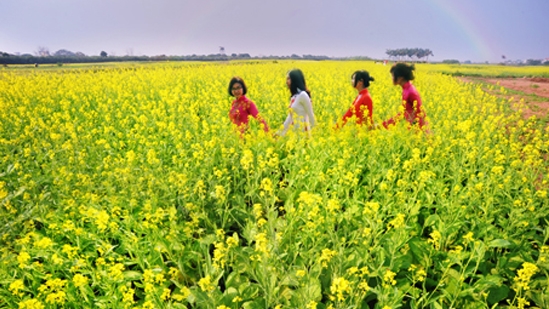 4月24日のおしゃべりタイム